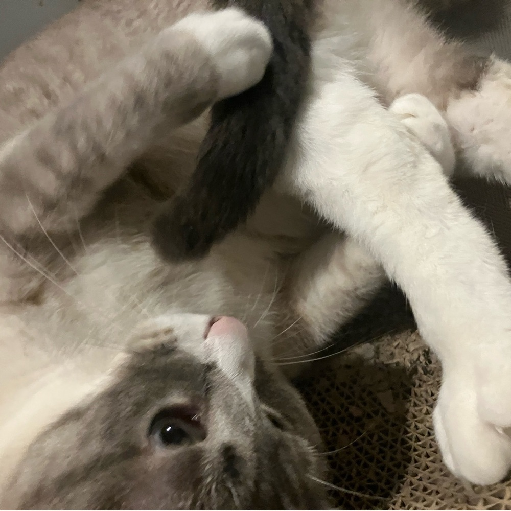 Hello there! - Picture 9 of 11